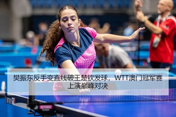 樊振东反手变直线破王楚钦发球，WTT澳门冠军赛上演巅峰对决